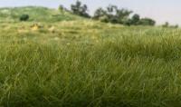 FS613 Woodland Scenics Field Grass System 2mm Static Grass Dark Green