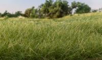 FS618 Woodland Scenics Field Grass System 4mm Static Grass Medium Green