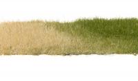 FS621 Woodland Scenics Field Grass System 7mm Static Grass Dark Green