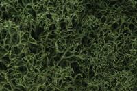 L163 Woodland Scenics Lichen Medium Green 1.4L