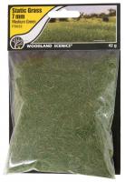 FS622 Woodland Scenics 7mm Static Grass Medium Green