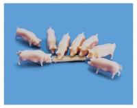 5176 Model Scene Pigs (Pack of 14) - unpainted