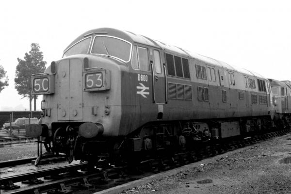 EFE Rail Locomotive D6xx North British Warship - N Gauge
