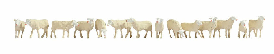 15749 Noch Sheep