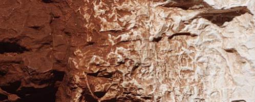 C1222 Woodland Scenics Burnt Umber Terrain Paint