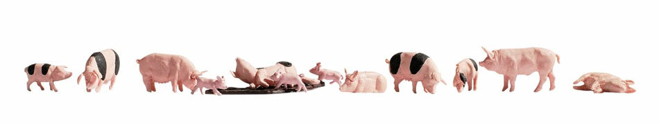 36712 Noch Pigs
