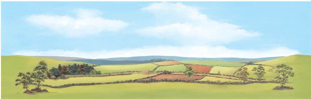 SK12 Peco Scene Large Background - Country Landscape