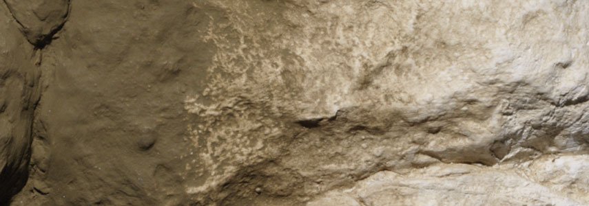 C1229 Woodland Scenics Earth Undercoat