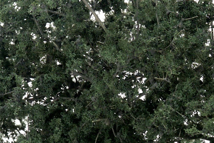 F1130 Woodland Scenics Fine-Leaf Foliage Dark Green
