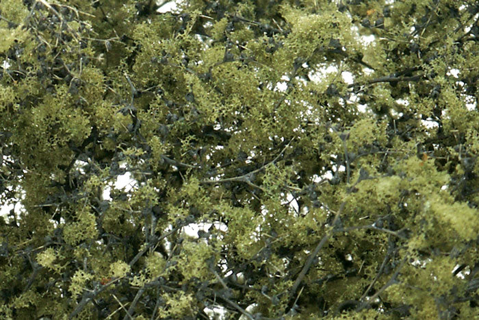 F1133 Woodland Scenics fine Leaf Foliage, Olive Green