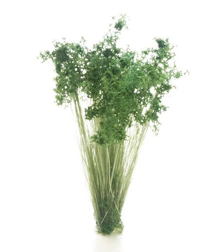 FS778 Woodland Scenics Dark Green Prairie Grass