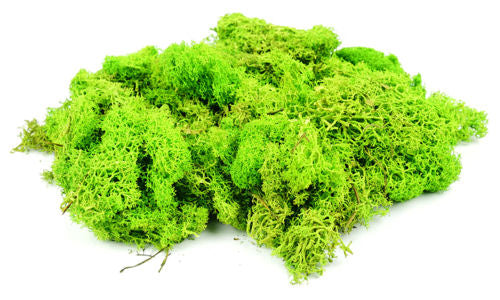 GM1601 GM164 Gaugemaster Lichen Light Green 80g