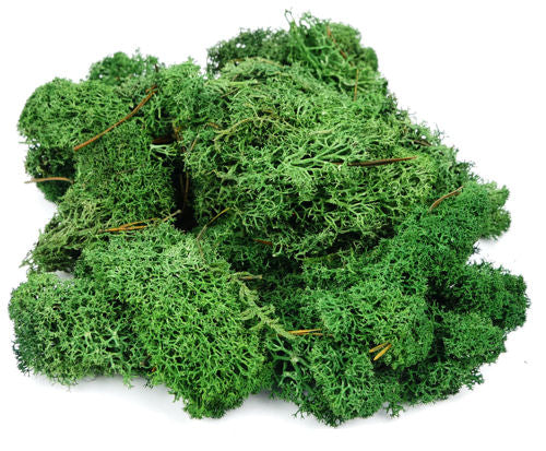 GM1602 GM165 Gaugemaster Lichen Dark Green 80 grams
