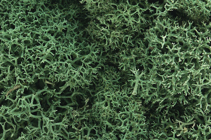 L162 Woodland Scenics Lichen Light Green