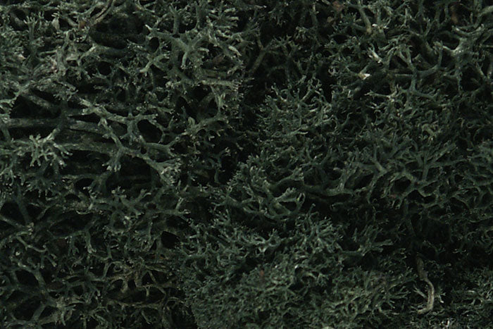 L163 Woodland Scenics Lichen Medium Green