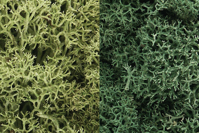L167 Woodland Scenics Lichen Light Green Mix Bulk Bag