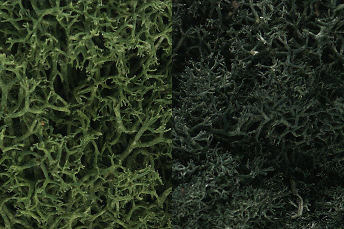 L168 Woodland Scenics Lichen Dark Green Mix Bulk Bag