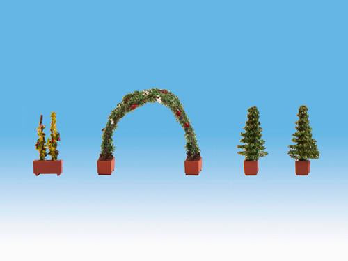 14022 Noch Thuja (2) Rose and Rose Arch Ornamental Plants