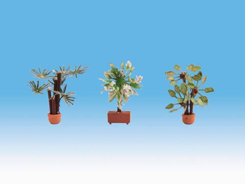 14023 Noch Mediterranean (3) Ornamental Plants