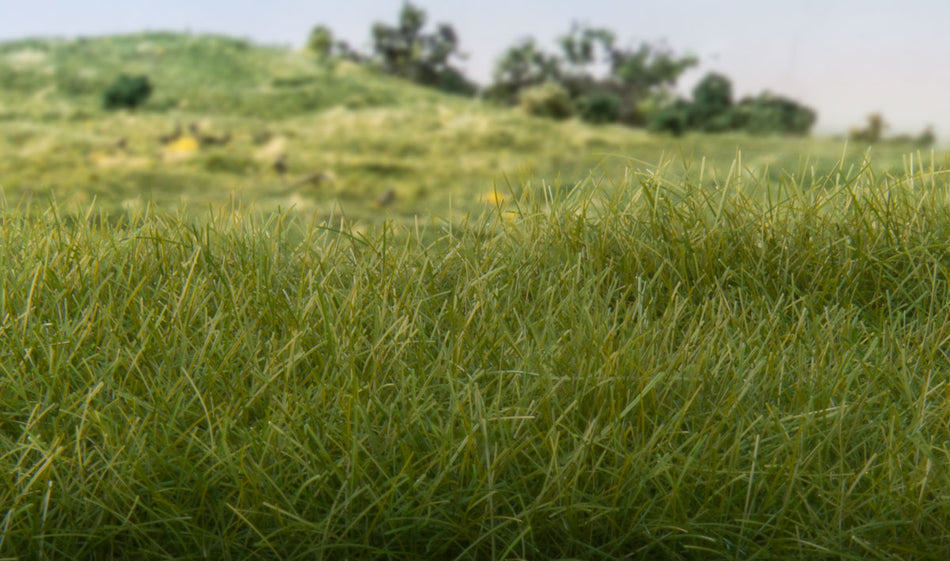 FS617 Woodland Scenics 4mm Static Grass Dark Green