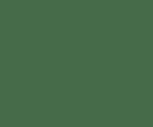 270 # RailMatch 15mls Jar Freightliner Green