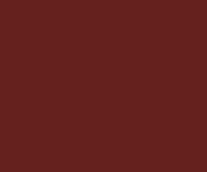 2306 RailMatch 18mls Pot BR Maroon Acrylic