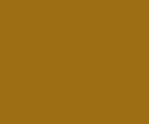 2416 RailMatch 18mls Pot Brake Dust Acrylic