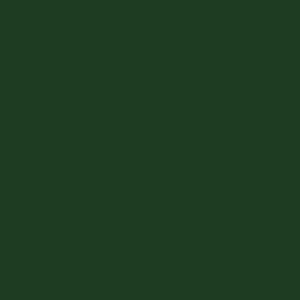 2601 RailMatch 18mls Pot GWR Post 1928 loco green acrylic
