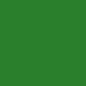 2621 RailMatch 18mls Pot LNER Darlington Green acrylic