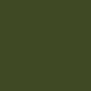 2630 RailMatch 18mls Pot SR light olive acrylic