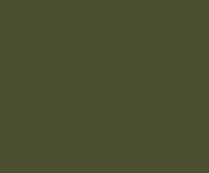 2201 RailMatch 18mls Pot Executive Dark Grey Acrylic