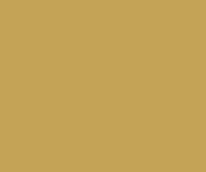 2256 RailMatch 18mls Pot EWS Gold Acrylic