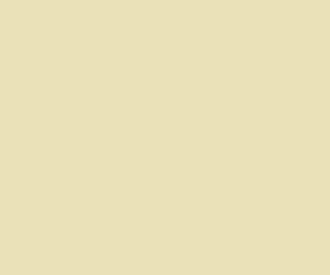 218 # RailMatch 15mls Jar WR Cream