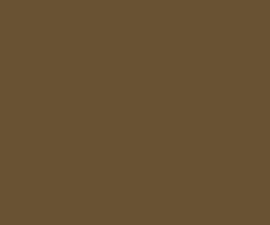 219 # RailMatch 15mls Jar WR Brown