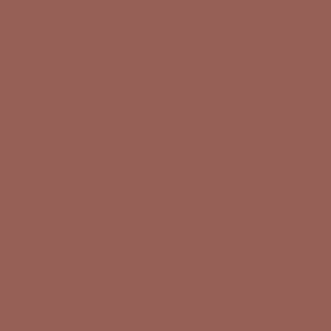 2405 RailMatch 18mls Pot Dark Rust Acrylic