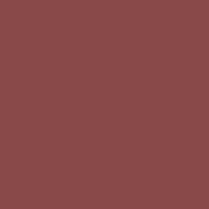 2424 RailMatch 18mls Pot Dark Brick Acrylic