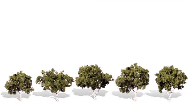 TR3532 Woodland Scenics Classic Tree - Waters Edge Birch