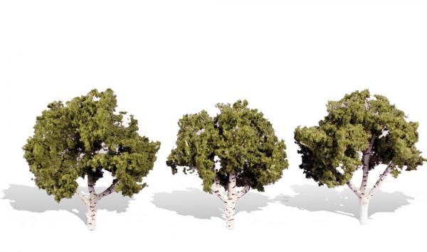 TR3534 Woodland Scenics Classic Tree - Waters Edge Birch