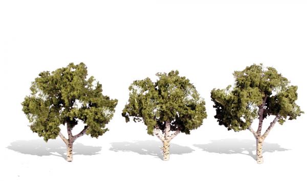 TR3535 Woodland Scenics Classic Tree - Waters Edge Birch