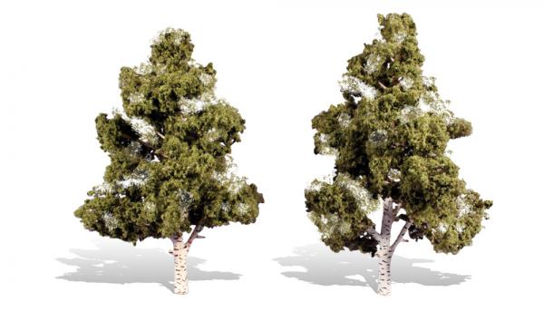 TR3538 Woodland Scenics Classic Tree - Waters Edge Birch