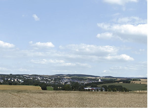 42514 Auhagen HO Countryside background 2