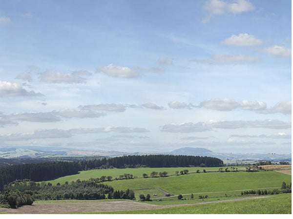42515 Auhagen HO Countryside background 3