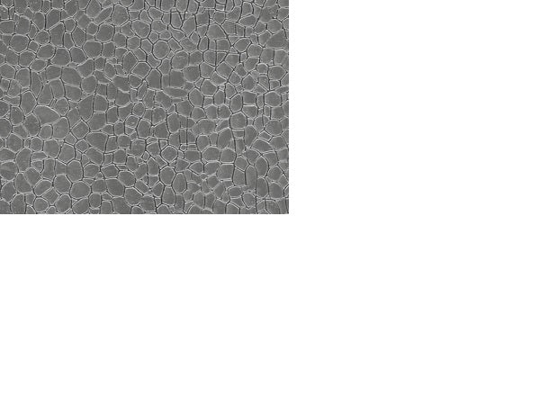52227 Auhagen HO Plastic sheet 200x100mm - (2) Natural stones