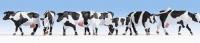 15725 Noch Cows Black and White (Pack of 7)