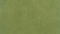 RG5121 Woodland Scenics Ready Grass Vinyl Mat Spring Grass Roll 50in x 100in