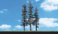 TR3562 Woodland Scenics Classic Tree - Standing Timber(Conifer) 6-7in.