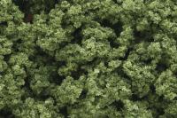 FC182 Woodland Scenics Bushes Clump-Foliage Light Green