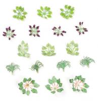 GM177 Gaugemaster Garden Plants