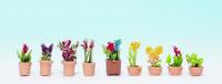 14080 Noch Ornamental Plants in Flowerpots (9).