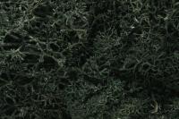 L164 Woodland Scenics Lichen Dark Green 1.4L